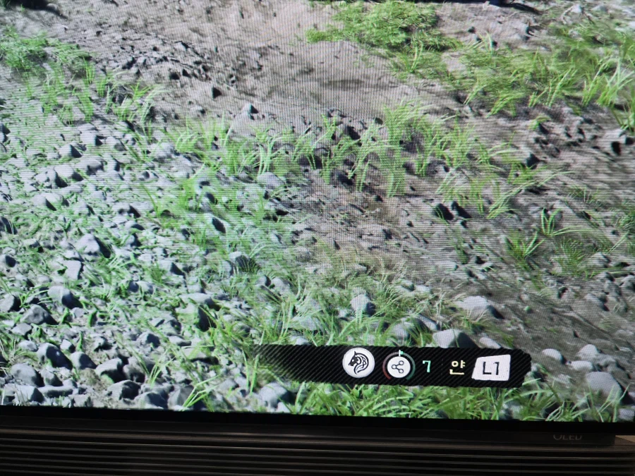 개인적으로 신경쓰이는 버그..._1.webp