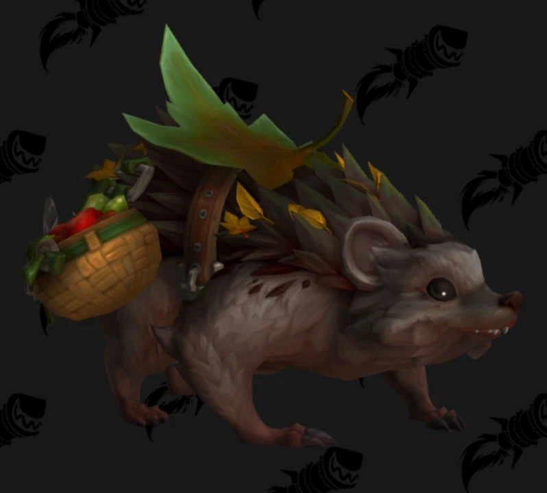 와우 2026년 4월 교역소 공개되지 않은 모든 아이템의 모습_16.webp