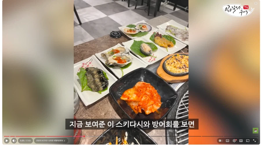 관광지는 관광지하고만 비교해라.입질의 추억_9.webp