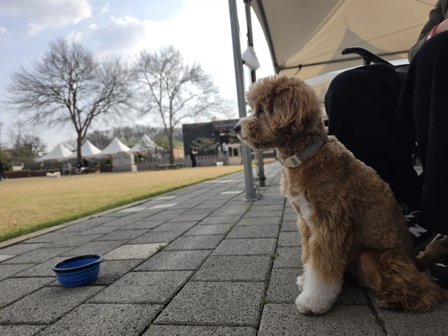 명동 가려다가 본가로 납치당한 이야기와 화이트리스트_8.webp