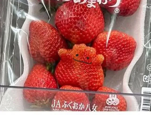 포켓몬)이걸 찾네_2.webp