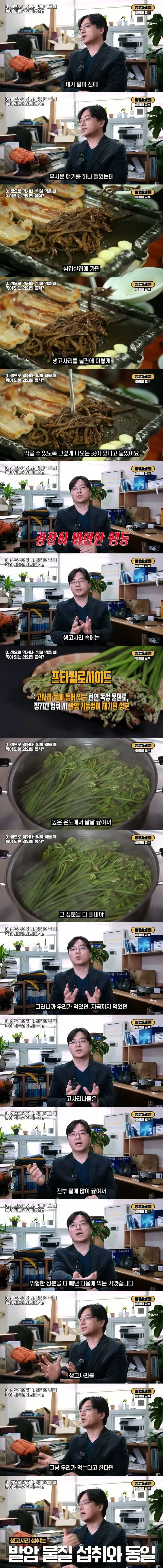 고사리 (생으로) 먹지 마세요_1.webp