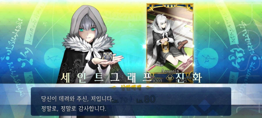 페이트 그랜드오더_14.webp