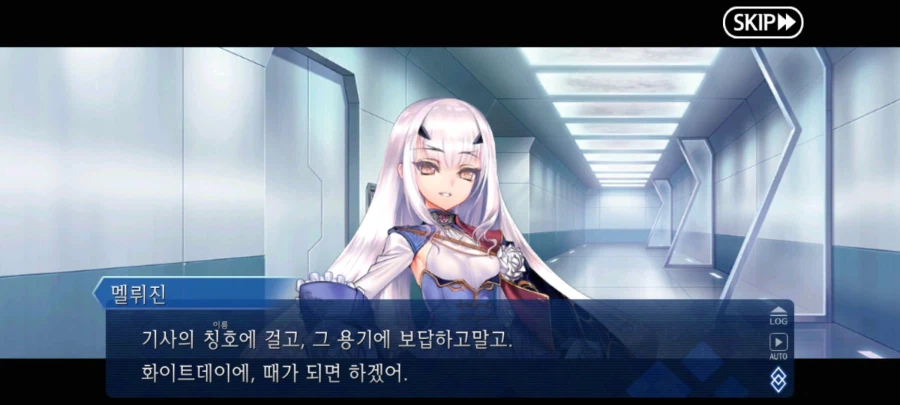 페이트 그랜드오더_23.webp