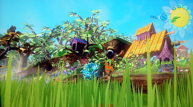 VIVA PINATA - RARE_5.jpg