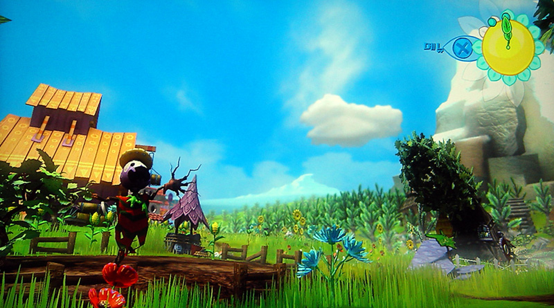 VIVA PINATA - RARE_8.jpg