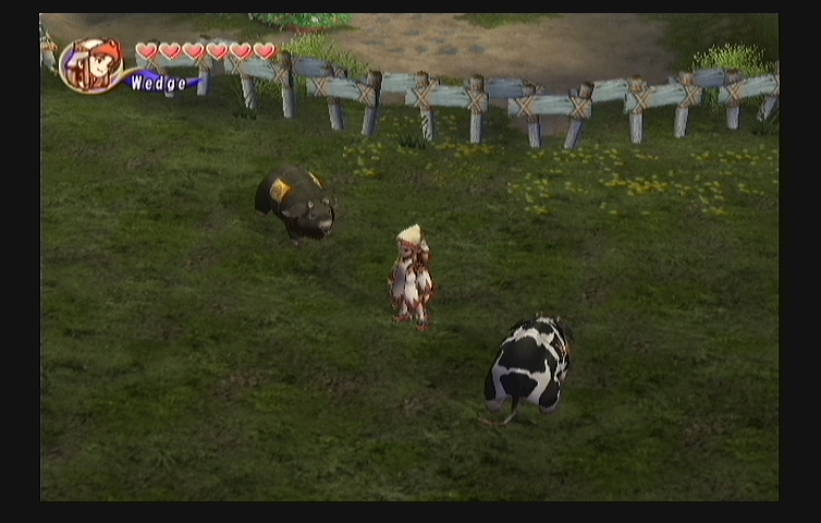 파이널 판타지 ~ 크리스탈 클로니클 ~_11.jpg