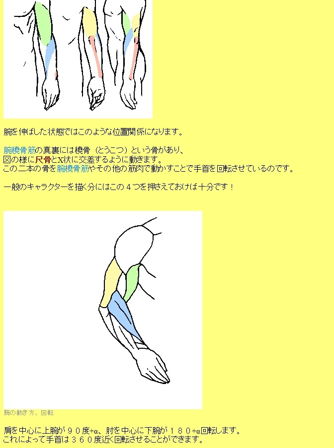 혼자서 그림그리기 배울 때 유용한 사이트 모음_4.jpg