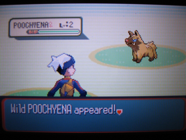 잡을 수 없는 이로치 포챠나......_1.jpg