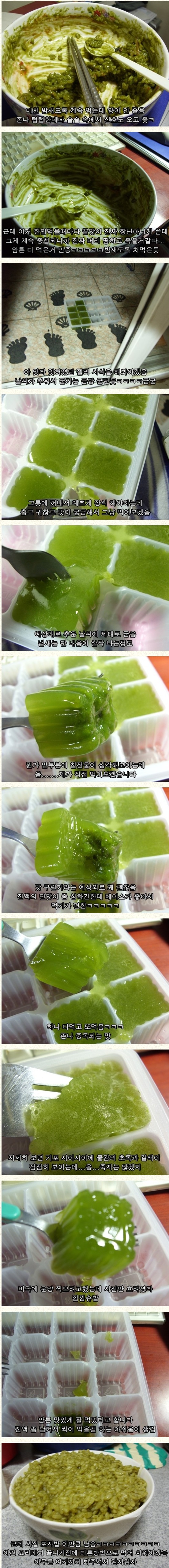 디씨 엘갤(엘소드 갤러리) 요리대회 1등.jpg_5.jpg