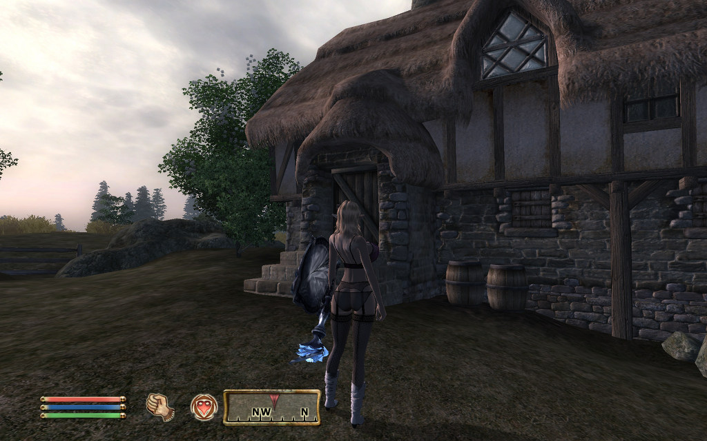 오블리비언 - 쫄쫄이 옷이란다._1.jpg