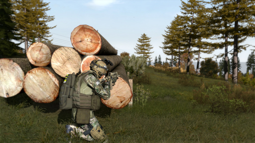 ArmA 2:CO, 그리스 치안상태_5.jpg