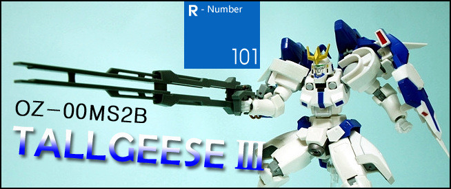 로봇혼 SIDE MS 톨기스Ⅱ_19.jpg