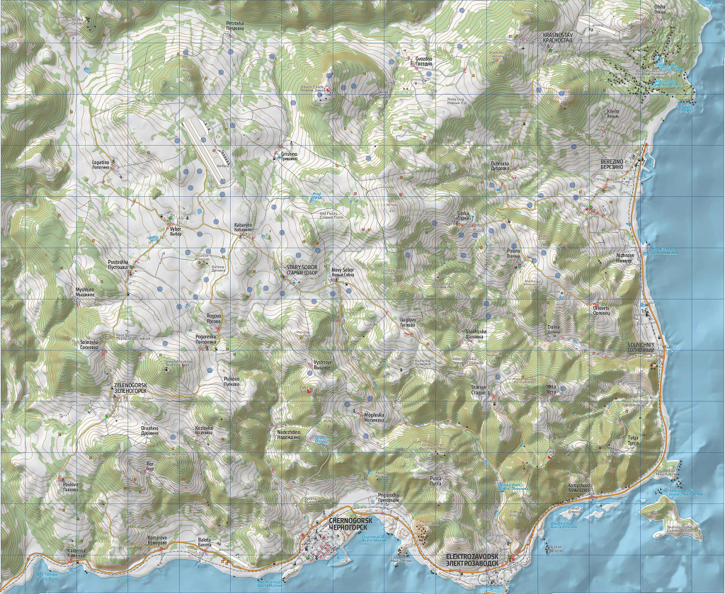 Dayz 솔로 야생 생존형 정보_1.jpg