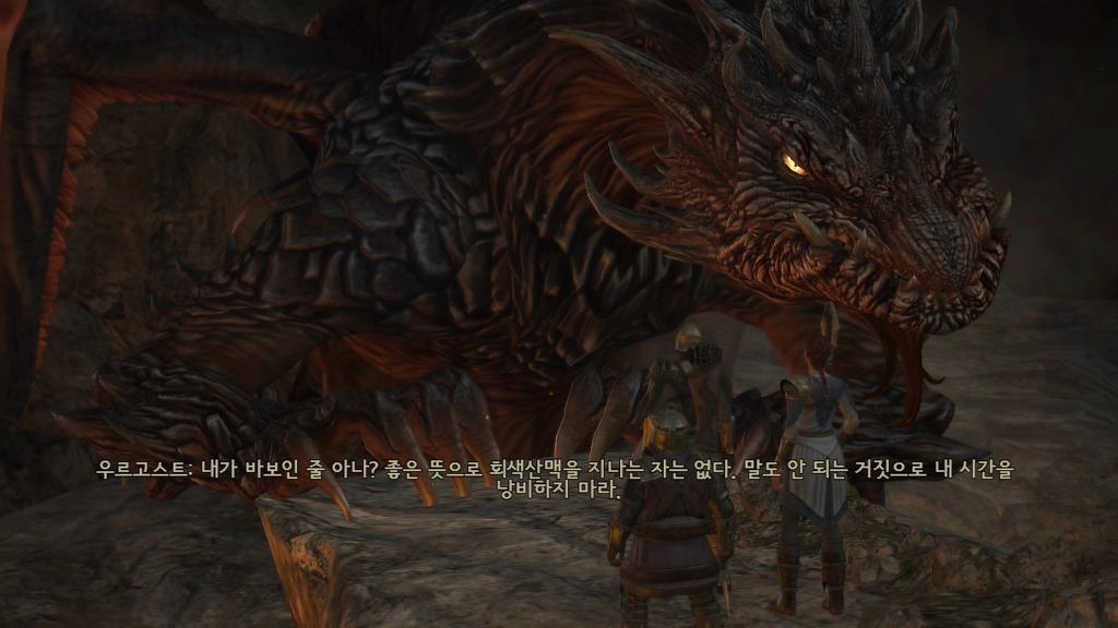 [PC] 반지의 제왕 북부 전쟁 - 14 - 회색 산맥의 드래곤_17.jpg
