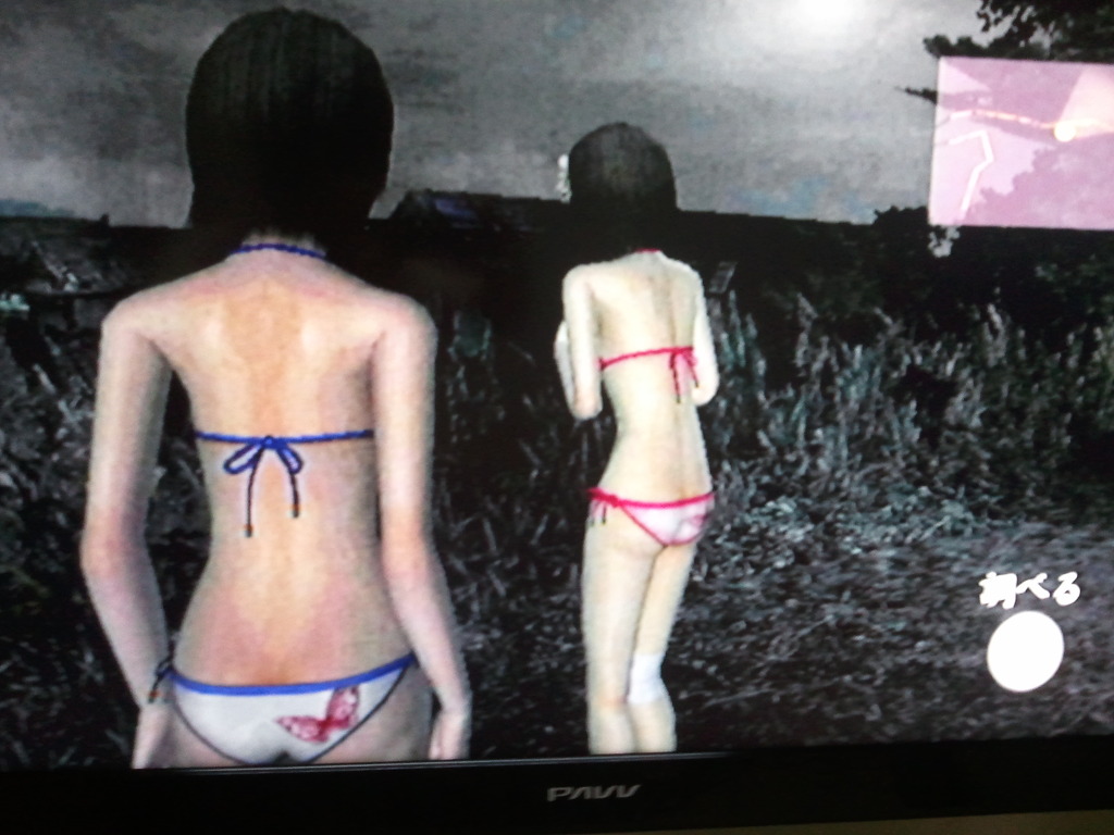 진홍의 나비 나이트 메어 소감 및 질문~_4.jpg