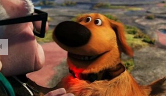 img/5/0/3/1/5031553A3E24B80027