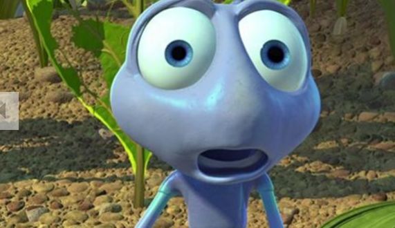 img/5/0/3/1/5031553A430BF70025