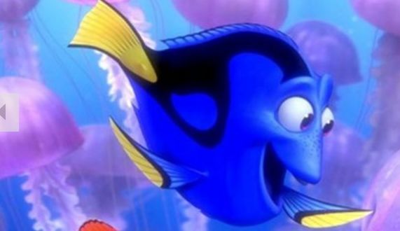 img/5/0/3/1/503155413D30630028