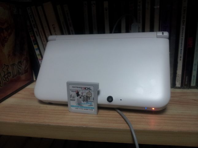 닌텐독스 + 캣츠 프렌치 불 오픈~_2.jpg