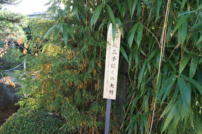 img/5/0/9/7/50976B194D2F5D0006