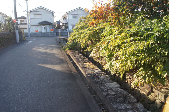 img/5/0/9/7/50976DF74334280006