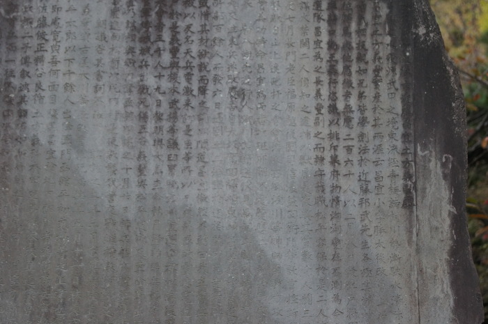 img/5/0/9/7/509771403529070028