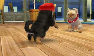 닌독&캣츠 플레이 3일째 *-_-*_1.jpg