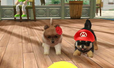 닌독&캣츠 플레이 3일째 *-_-*_2.jpg