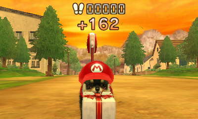 닌독&캣츠 플레이 3일째 *-_-*_4.jpg