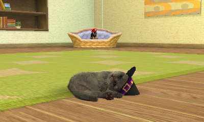 닌독&캣츠 플레이 3일째 *-_-*_6.jpg