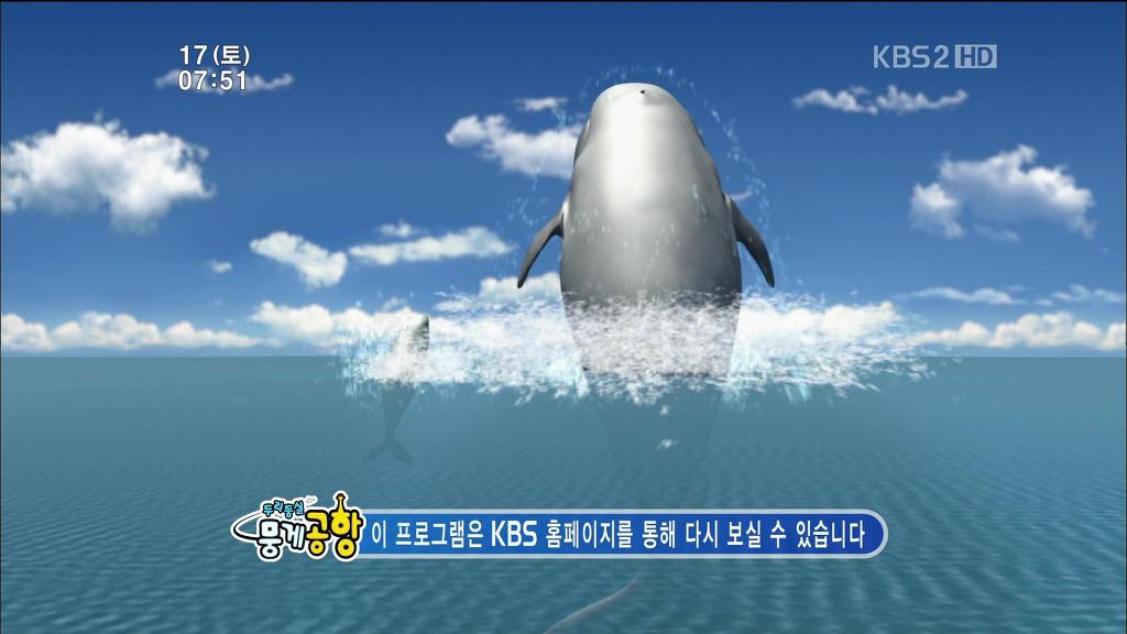 두리둥실 뭉게공항 33화 - 일리의 멋진 변신 / 북극으로 간 윙키_49.jpg