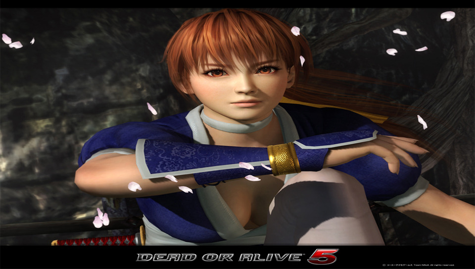 플스비타 DOA5+ 발매기념! DOA5 비타 배경화면 47장!_18.jpg