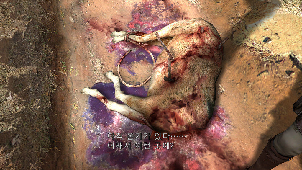 img/5/1/4/3/5143F0C43F15D10027