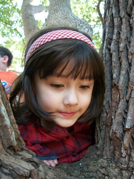 img/5/1/B/9/51B9B6B6474A5D0018