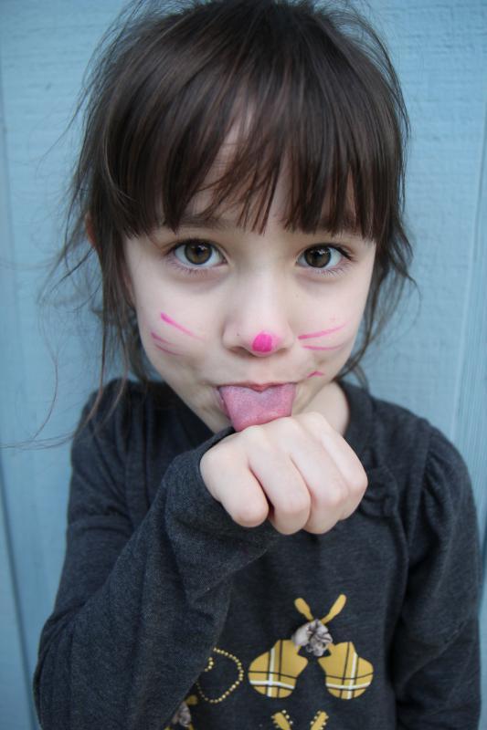 img/5/1/B/9/51B9B70F5062A30025