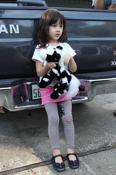 img/5/1/B/9/51B9B733484D430005