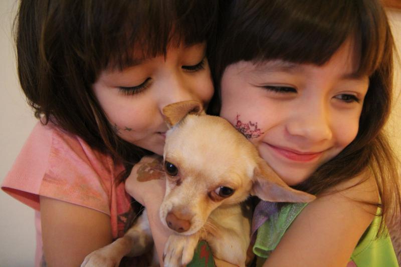 img/5/1/B/9/51B9B7884C3EF20027