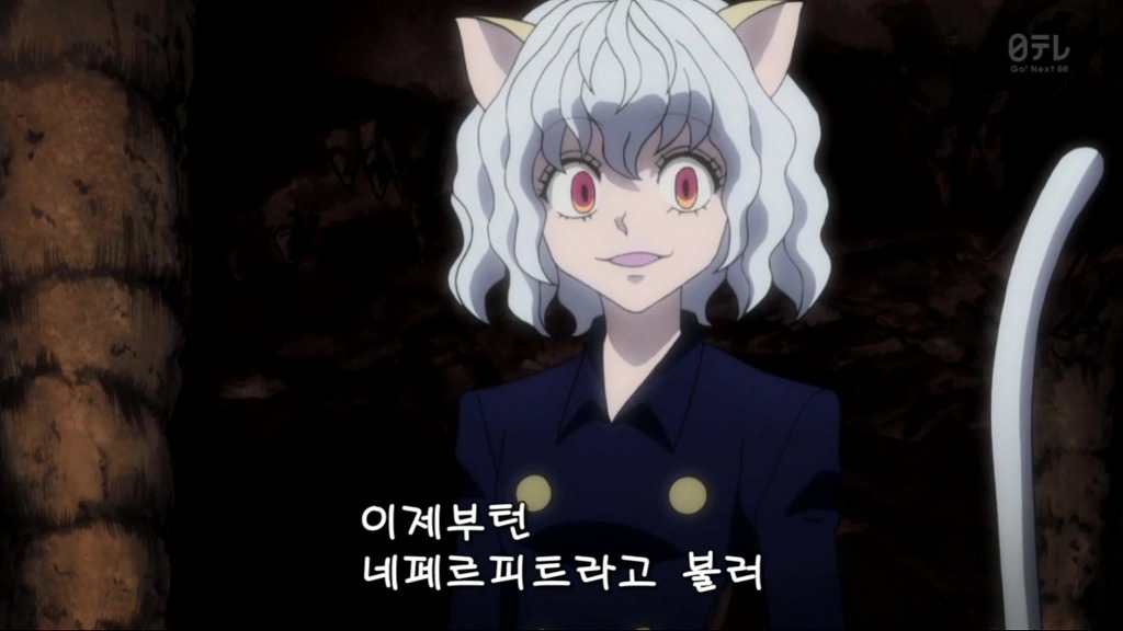 [헌터x헌터] 드디어 등장한 호위군 '네페르피트' (영상 추가)_28.jpg