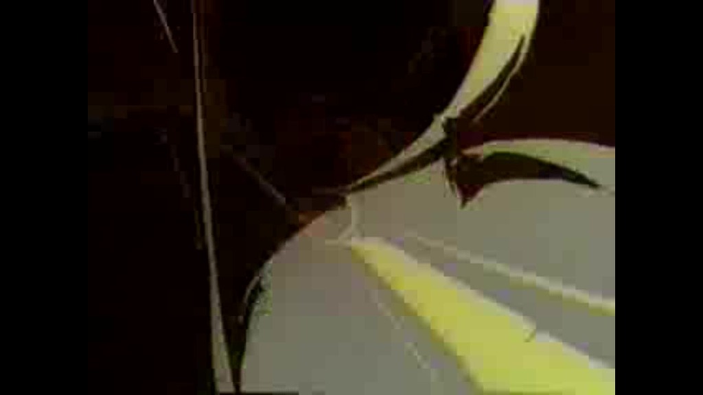 img/5/1/F/2/51F245CC4A586B0017