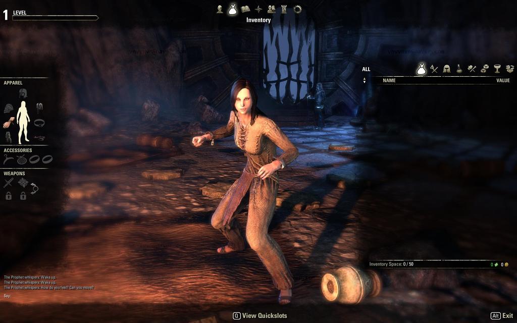 엘더스크롤 온라인 베타 스트레스 테스트 소감 및 평입니다^^_10.jpg