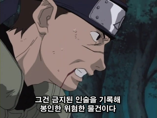 img/5/2/3/6/523605865036500019