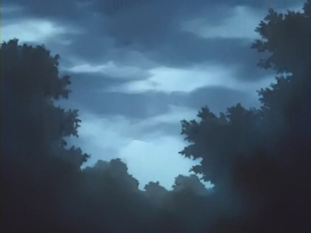 img/5/2/3/6/52360841423BCB0028