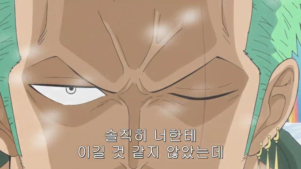 원피스- 하피 모네 vs 조로 (스압)_69.jpg