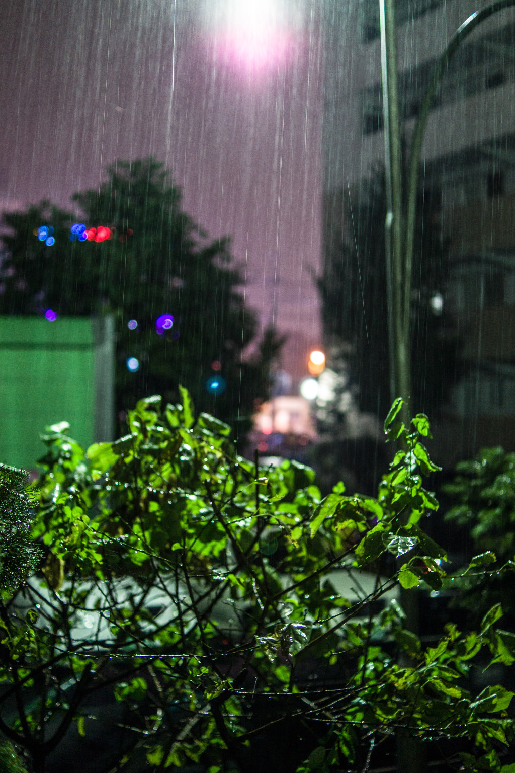 Raindrop_1.jpg