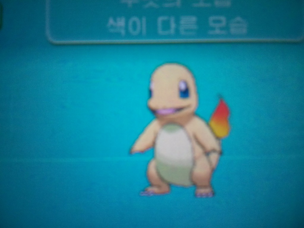 이로치 파이리 리자드 리자몽 메가리자몽XY_1.jpg