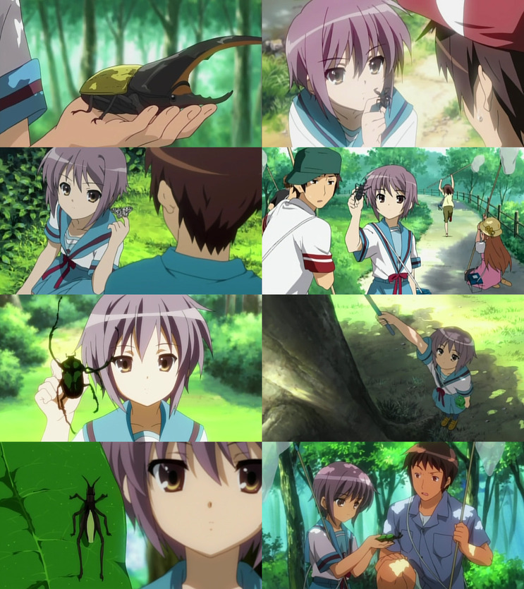 img/5/2/C/F/52CFD1653554970029