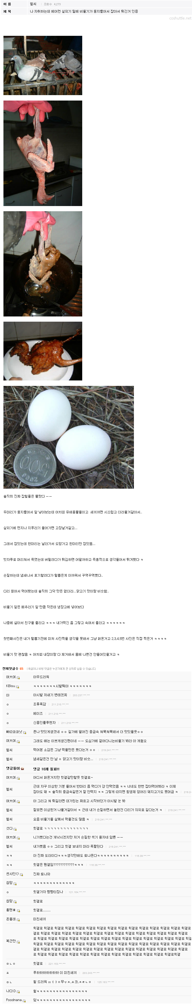 디시의 흔한 비둘기 튀김.jpg_1.jpg