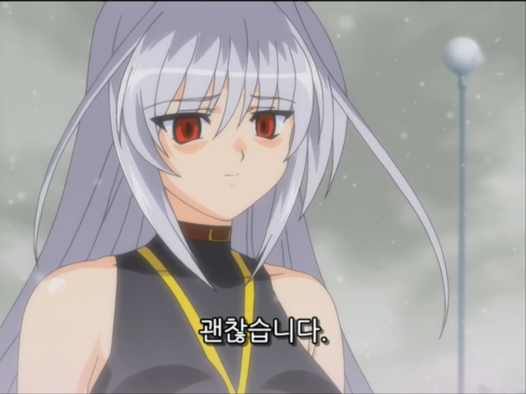 [마법소녀 리리칼 나노하A's] 린포스와 하야테..!!_2.jpg