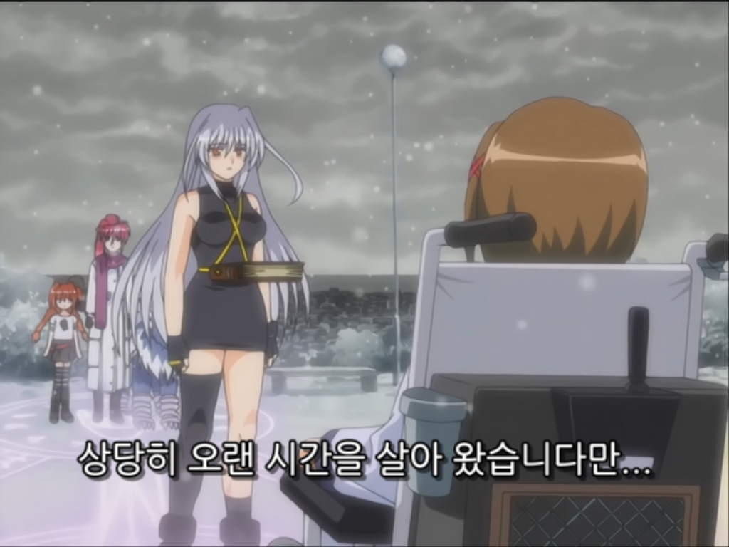 [마법소녀 리리칼 나노하A's] 린포스와 하야테..!!_6.jpg